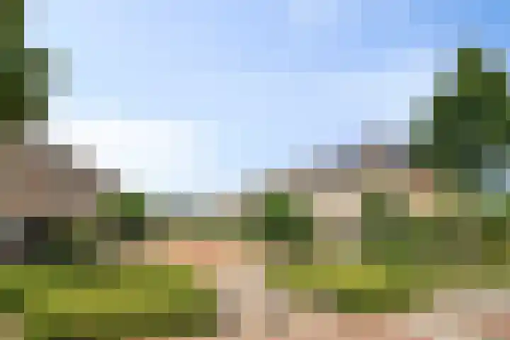 Hondsdraf 160 Swifterbant thumbnail 44