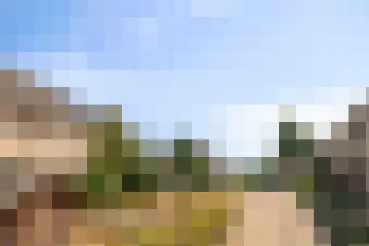 Hondsdraf 160 Swifterbant thumbnail 45