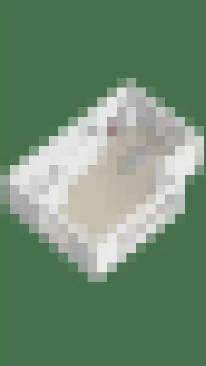 Hondsdraf 160 Swifterbant thumbnail 50