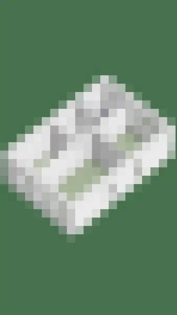 Hondsdraf 160 Swifterbant thumbnail 51