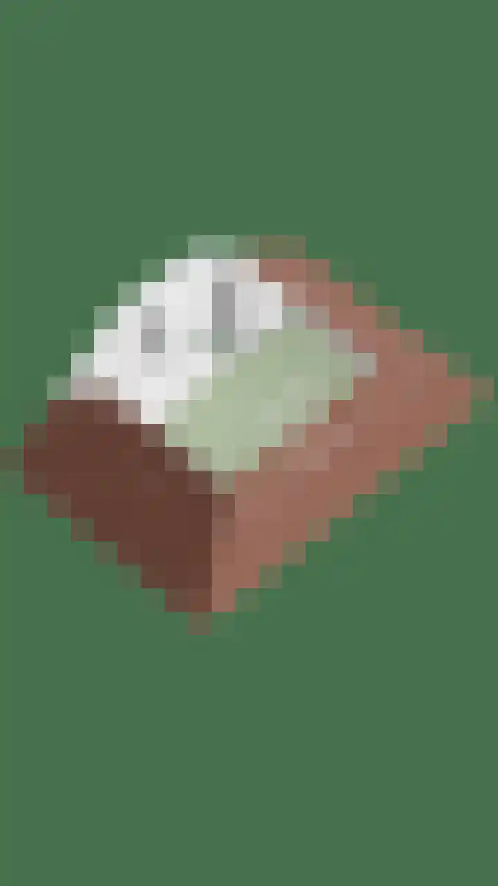 Hondsdraf 160 Swifterbant thumbnail 52