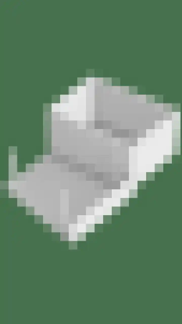 Hondsdraf 160 Swifterbant thumbnail 53