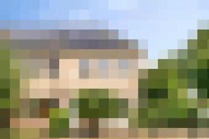 Hondsdraf 160 Swifterbant thumbnail 6