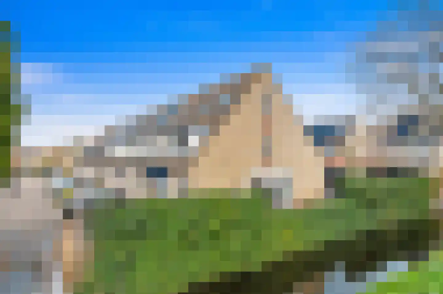Hondsdraf 17 Maasland