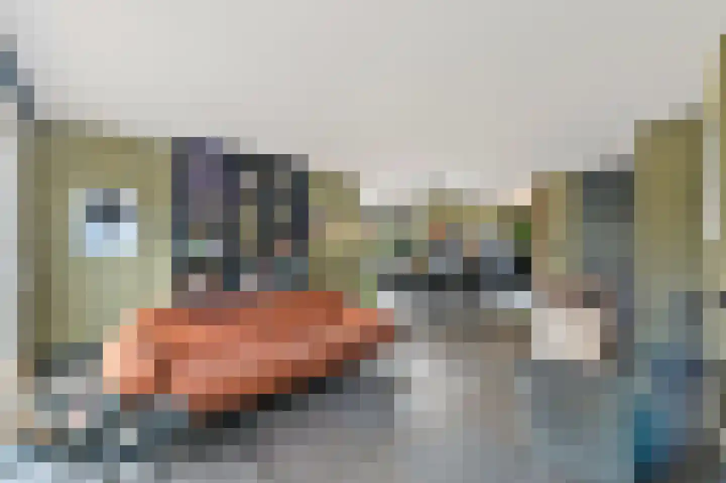 Hondsdraf 17 Maasland thumbnail 10