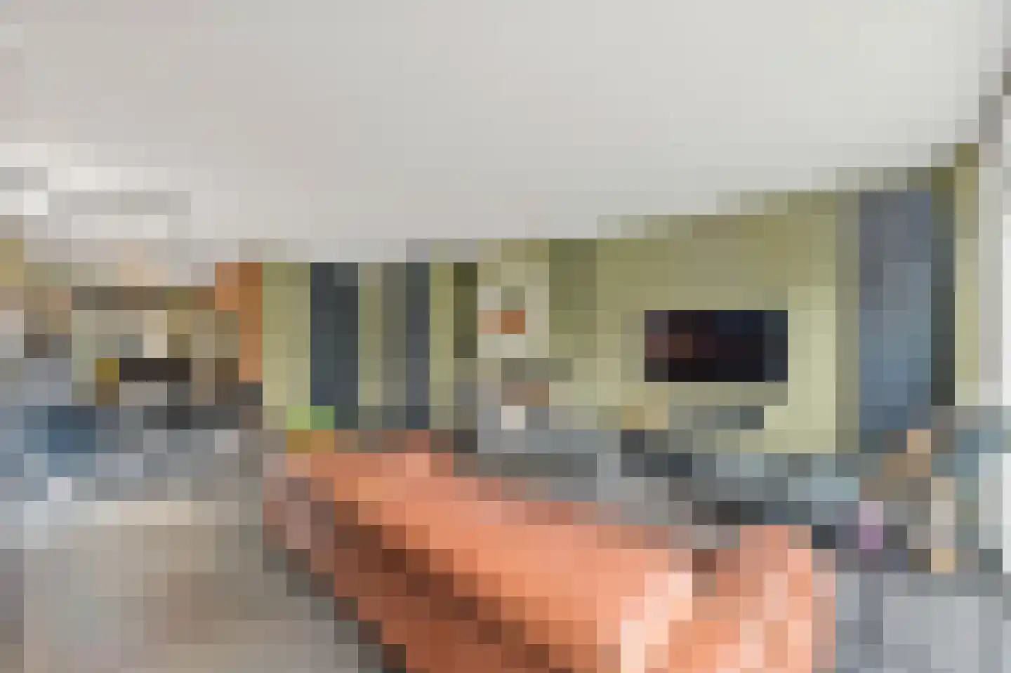Hondsdraf 17 Maasland thumbnail 11