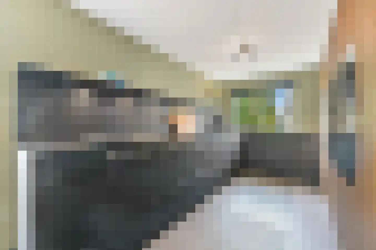 Hondsdraf 17 Maasland thumbnail 13