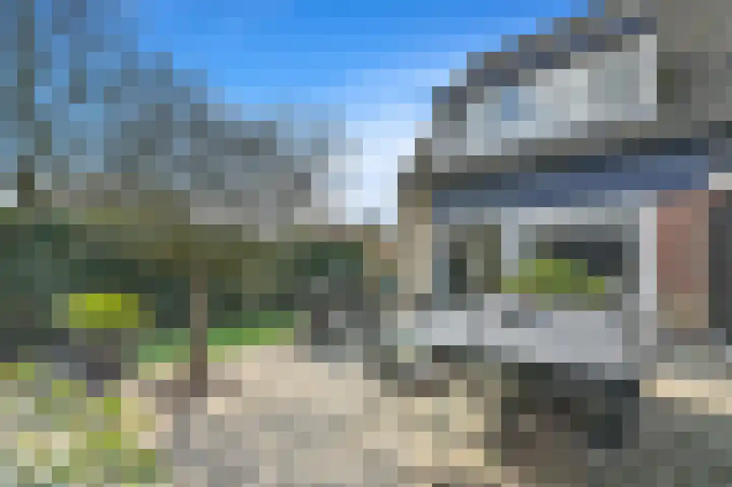 Hondsdraf 17 Maasland thumbnail 16
