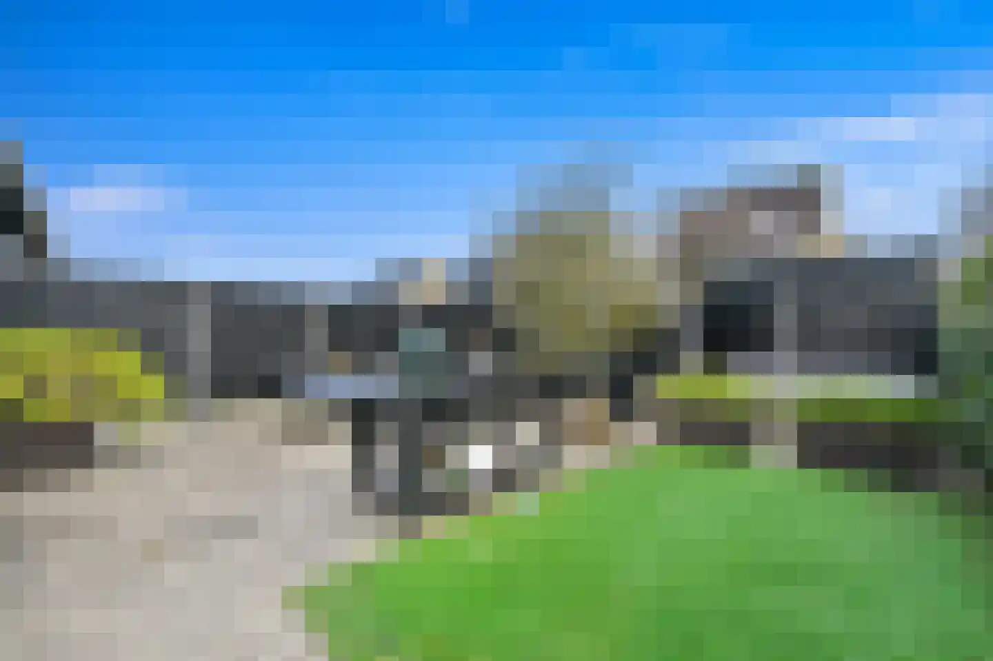 Hondsdraf 17 Maasland thumbnail 17