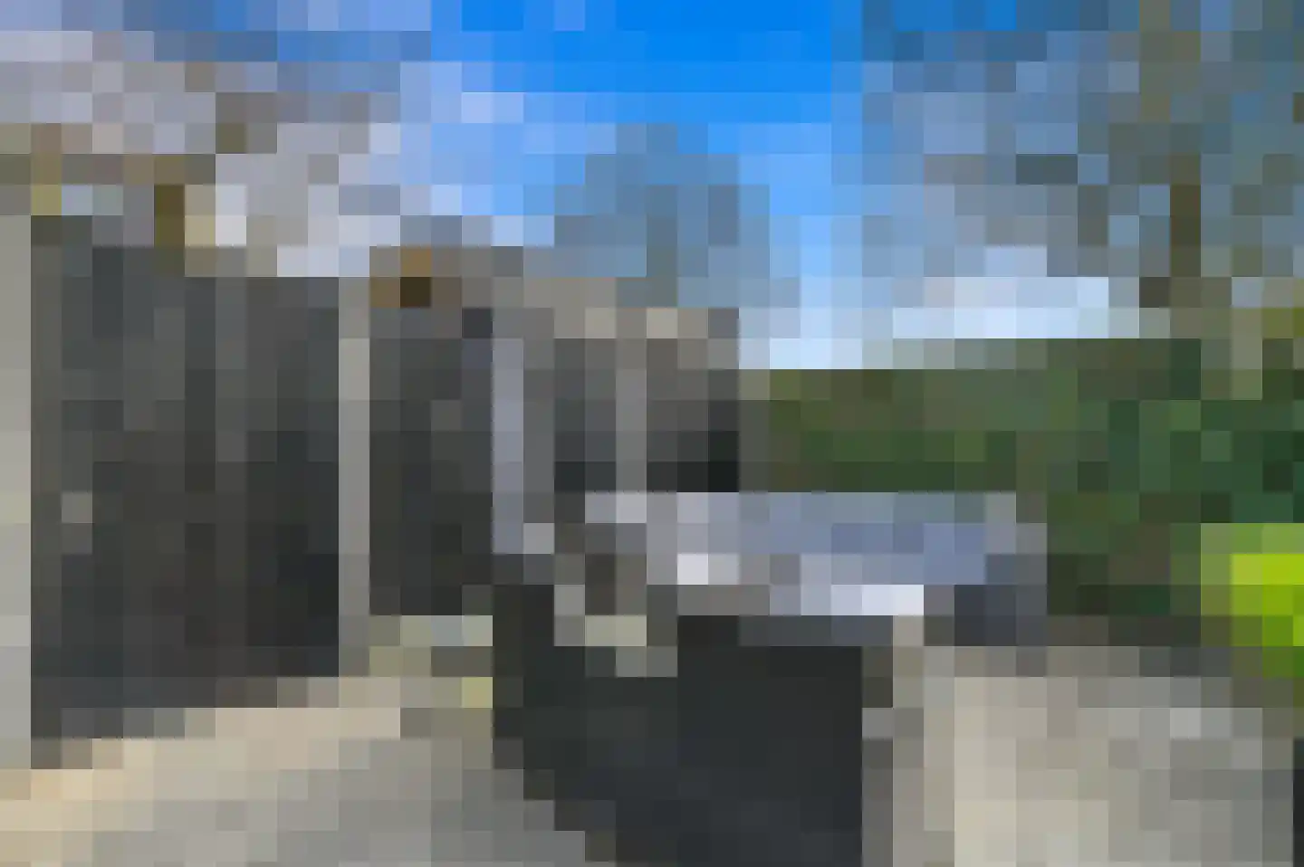 Hondsdraf 17 Maasland thumbnail 18