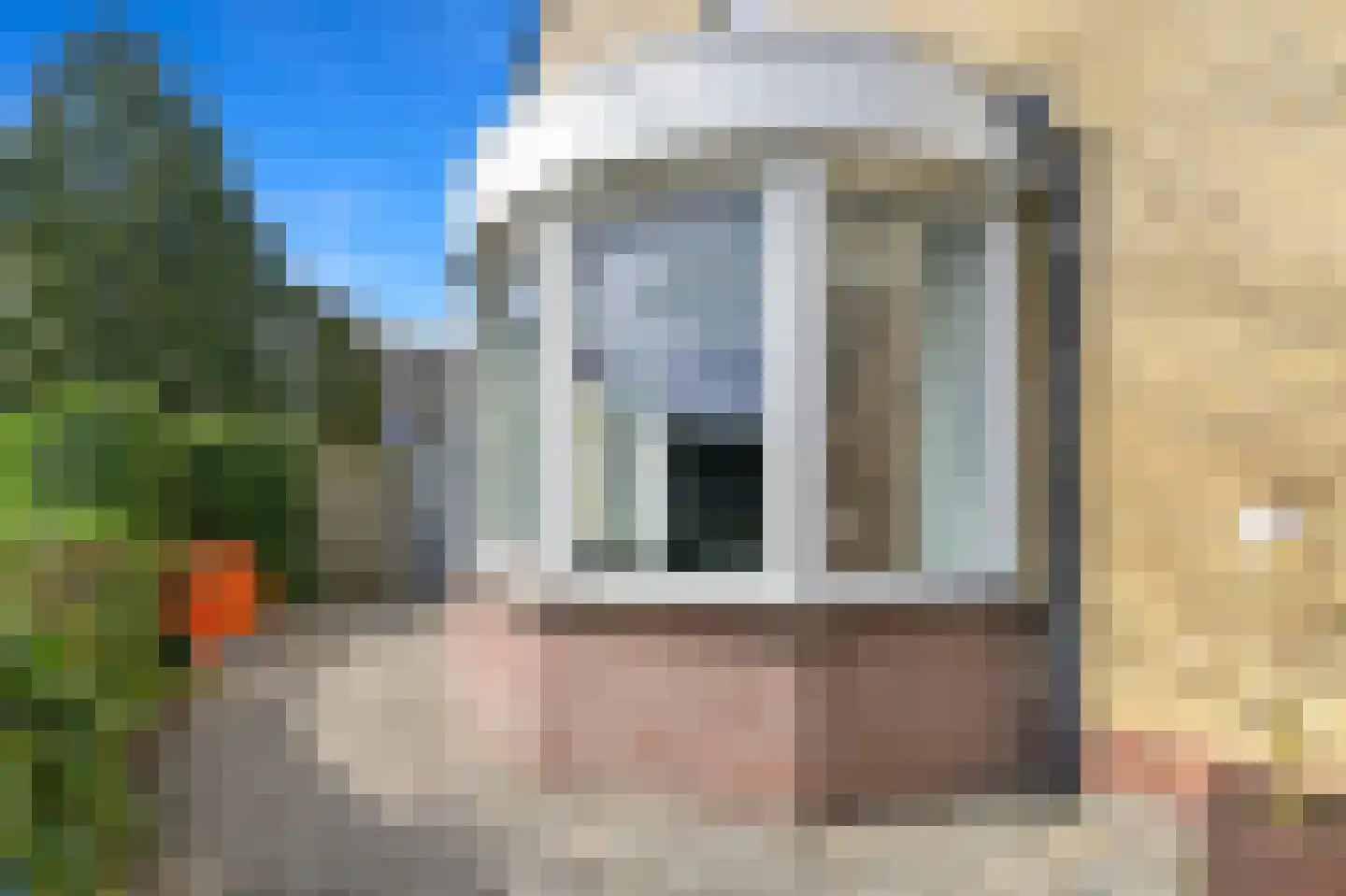 Hondsdraf 17 Maasland thumbnail 20