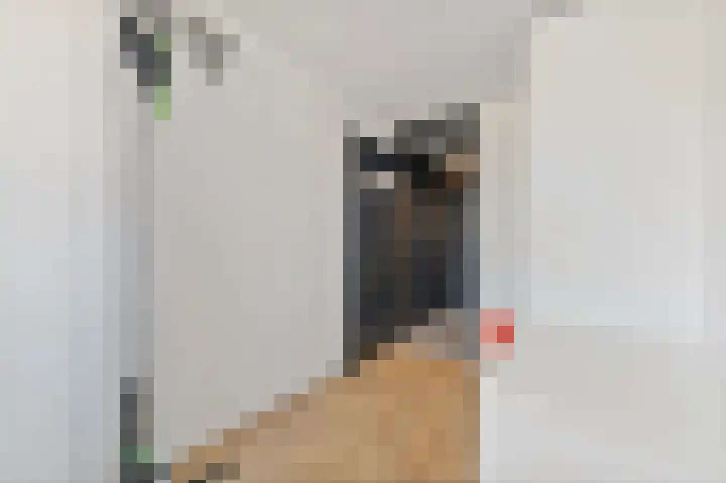 Hondsdraf 17 Maasland thumbnail 24