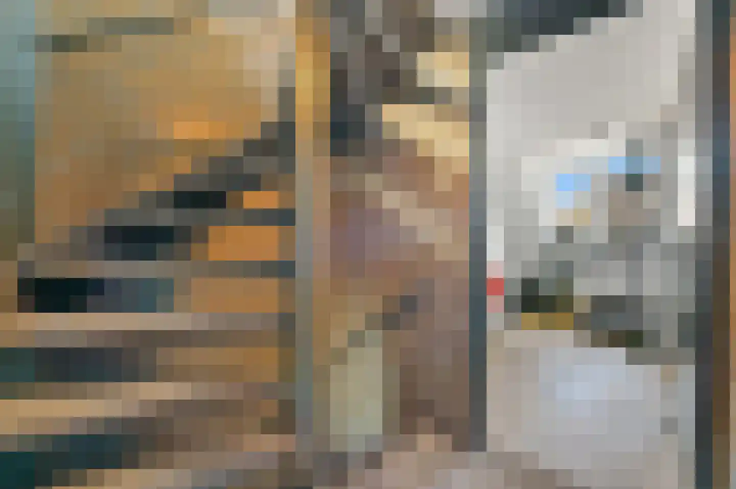 Hondsdraf 17 Maasland thumbnail 25