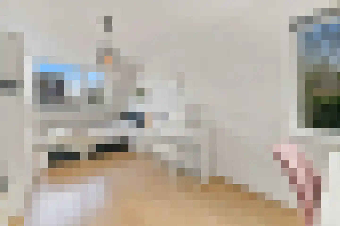 Hondsdraf 17 Maasland thumbnail 26