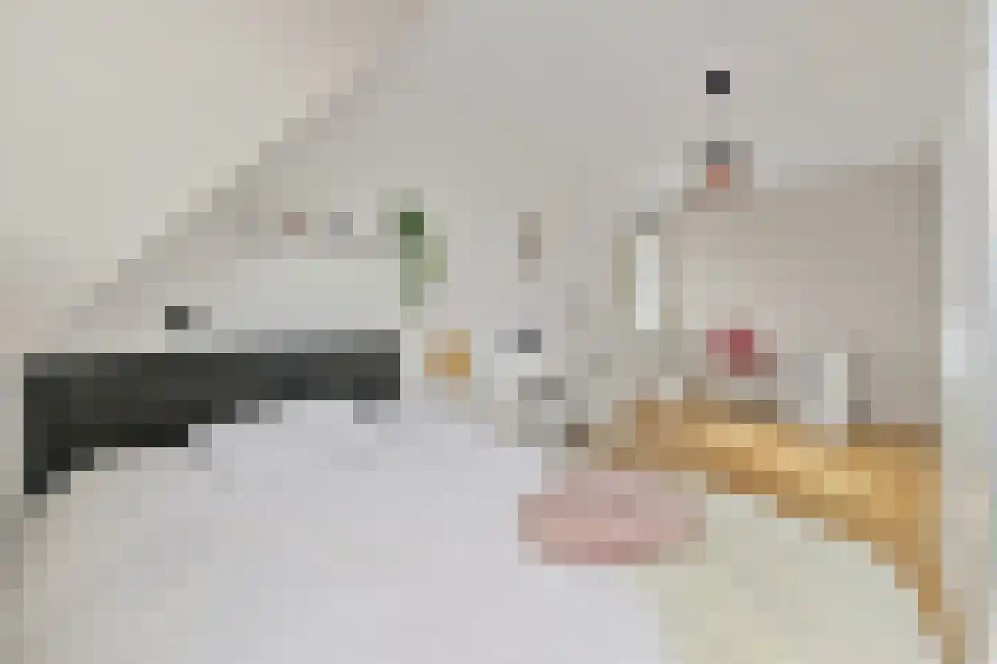 Hondsdraf 17 Maasland thumbnail 27