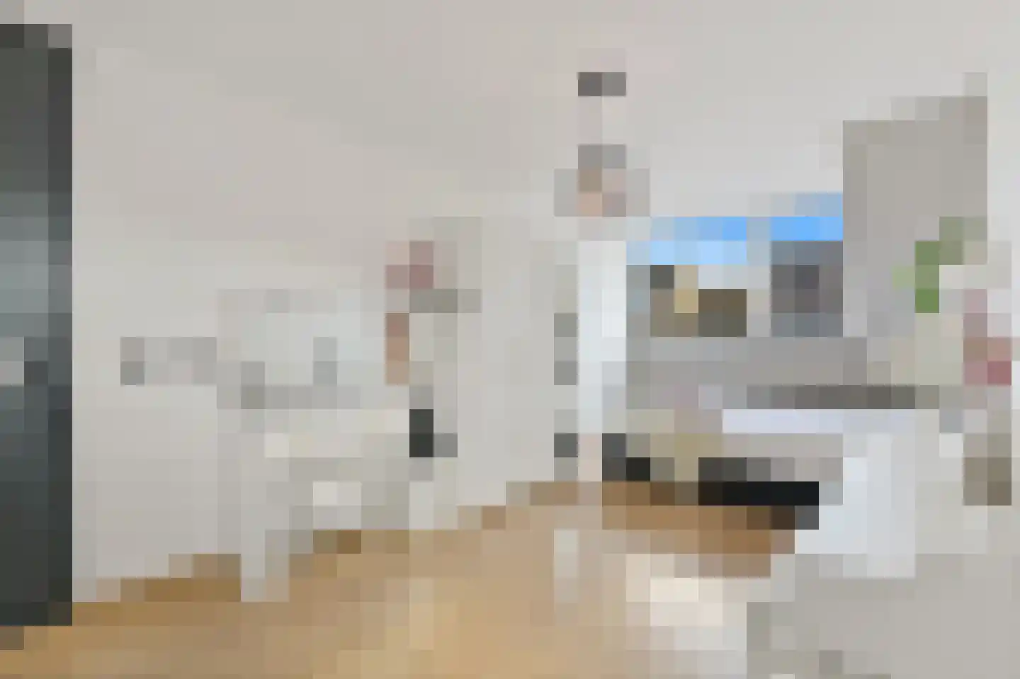 Hondsdraf 17 Maasland thumbnail 28