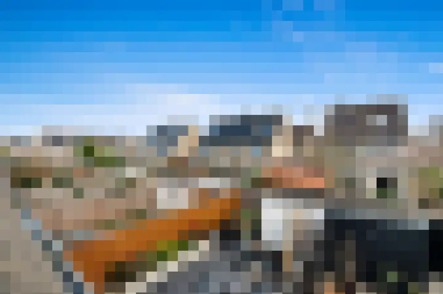 Hondsdraf 17 Maasland thumbnail 29