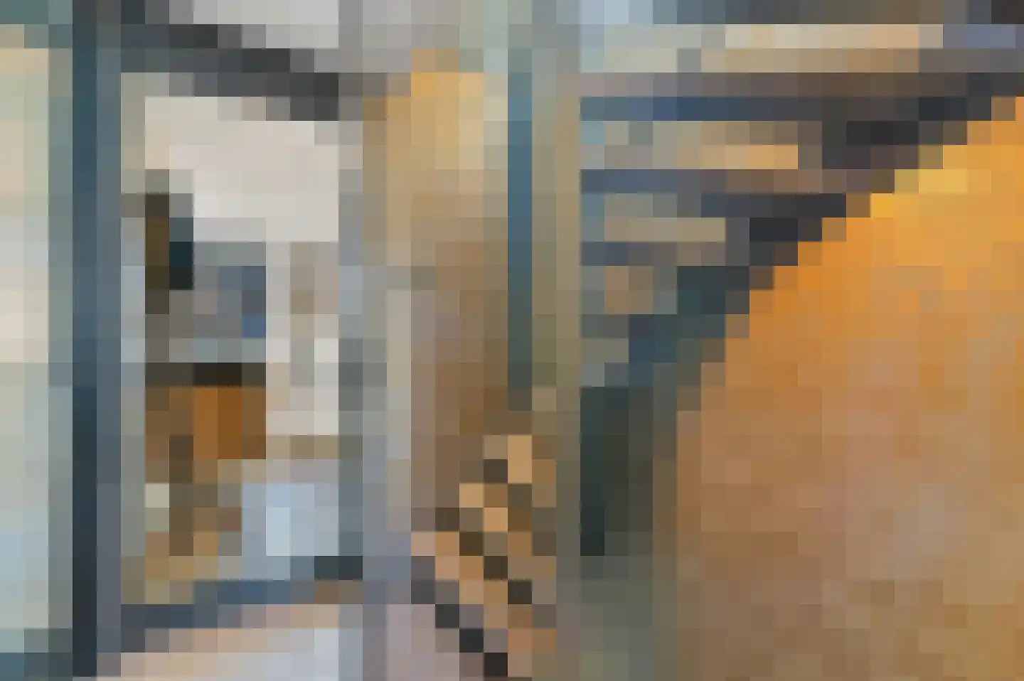Hondsdraf 17 Maasland thumbnail 30