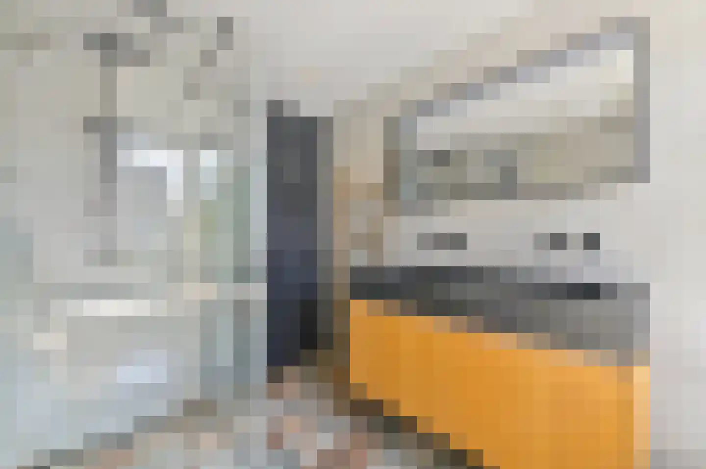 Hondsdraf 17 Maasland thumbnail 31