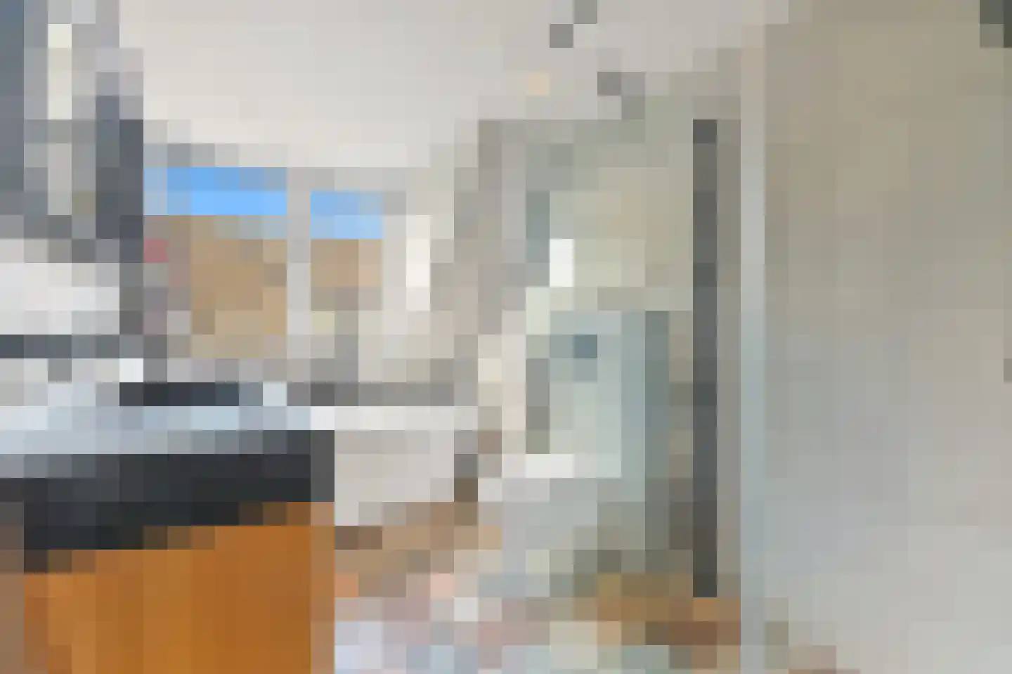 Hondsdraf 17 Maasland thumbnail 32