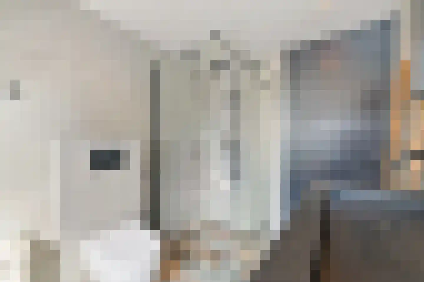Hondsdraf 17 Maasland thumbnail 33