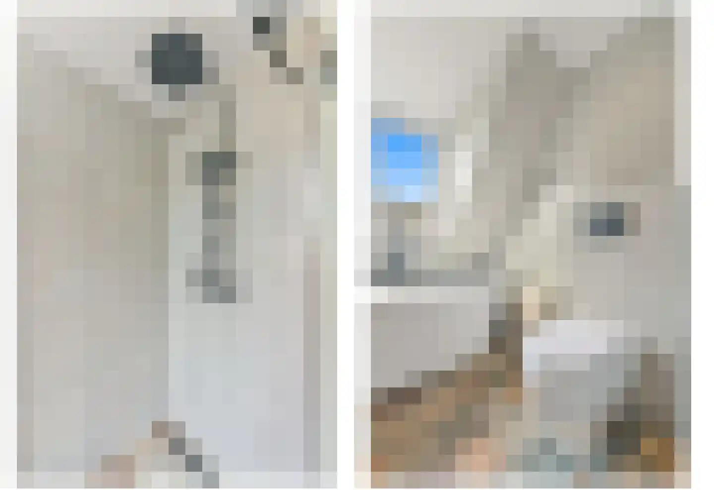 Hondsdraf 17 Maasland thumbnail 34