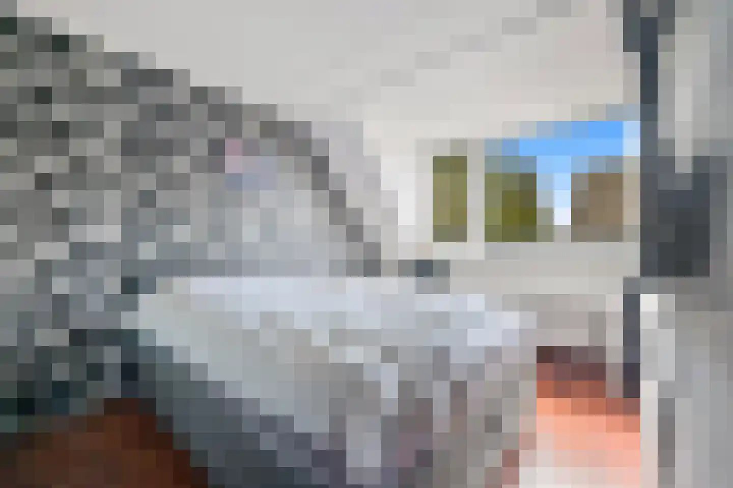 Hondsdraf 17 Maasland thumbnail 35