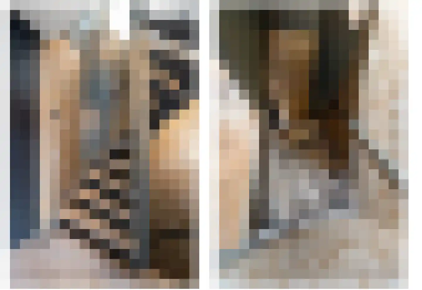 Hondsdraf 17 Maasland thumbnail 36