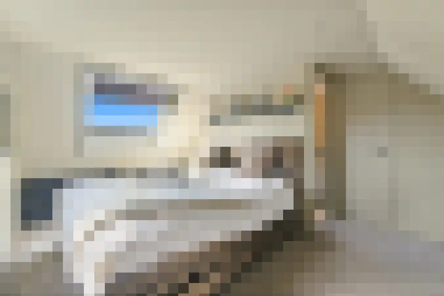 Hondsdraf 17 Maasland thumbnail 37