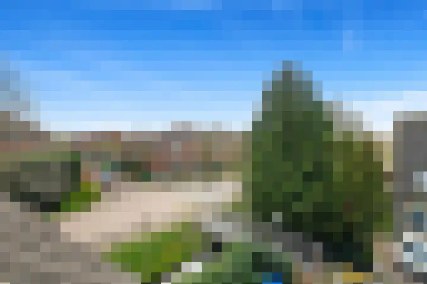 Hondsdraf 17 Maasland thumbnail 41