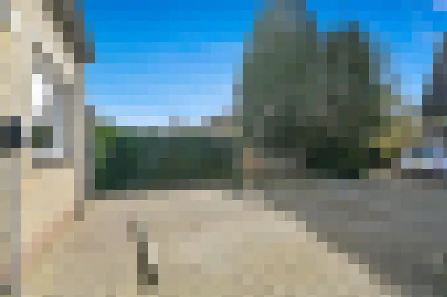 Hondsdraf 17 Maasland thumbnail 5