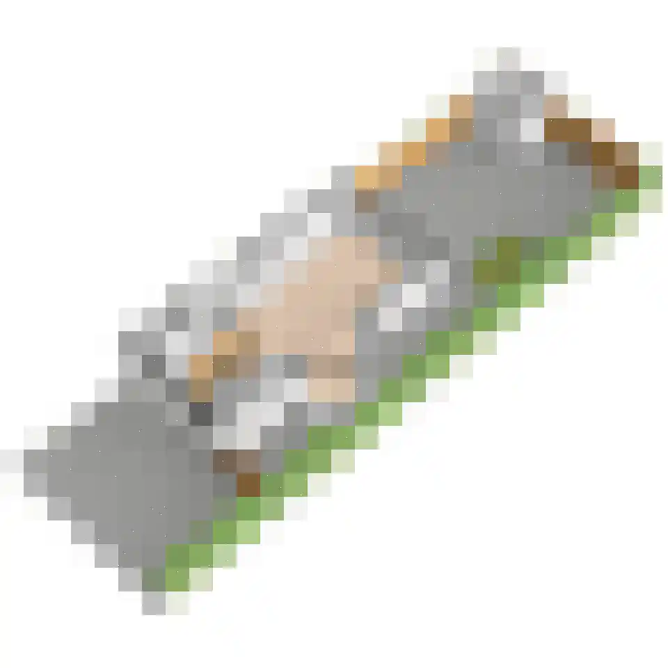Hondsdraf 17 Maasland thumbnail 50
