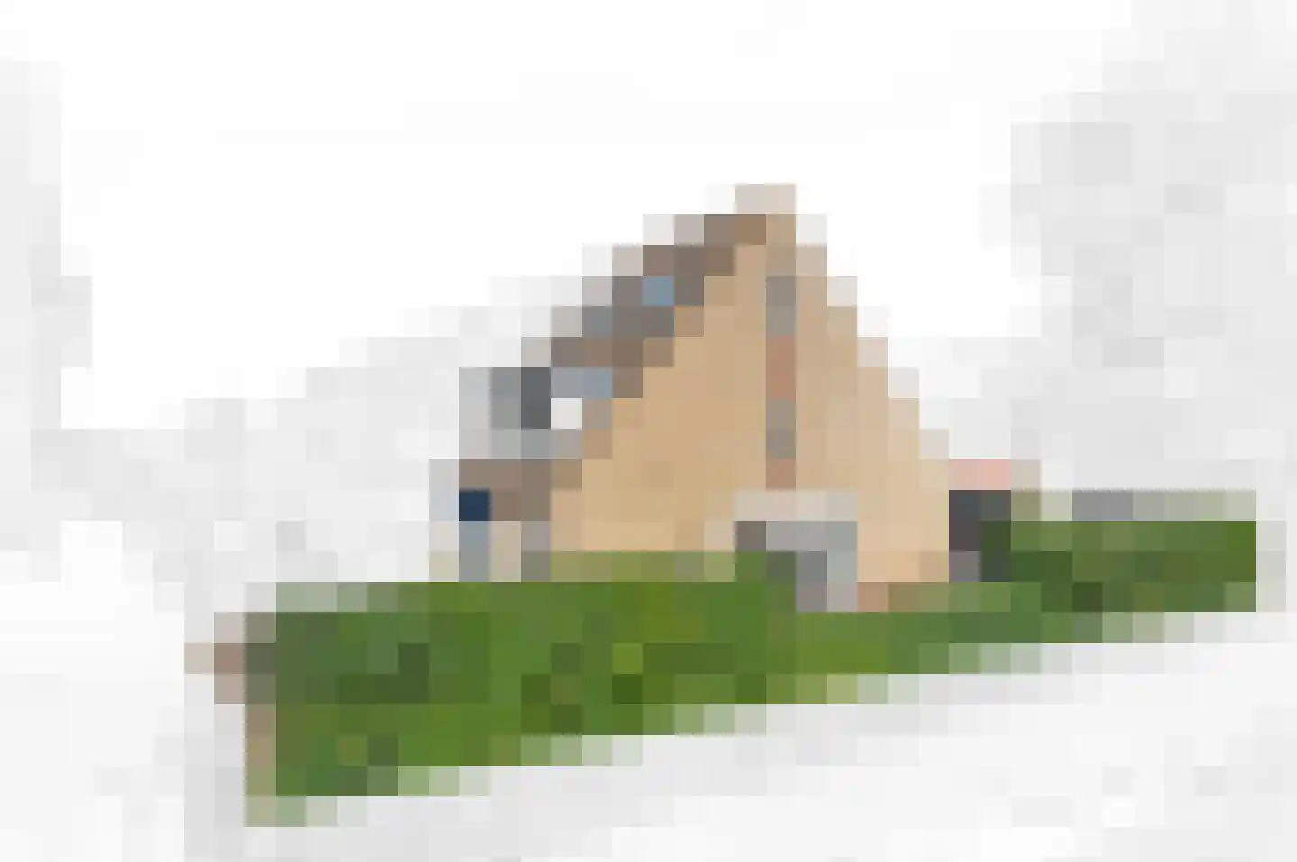 Hondsdraf 17 Maasland thumbnail 6