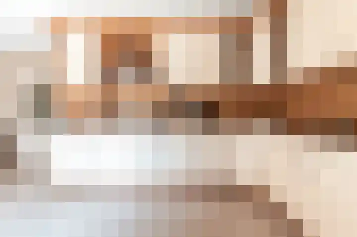 Hondsdraf 176 Swifterbant thumbnail 14