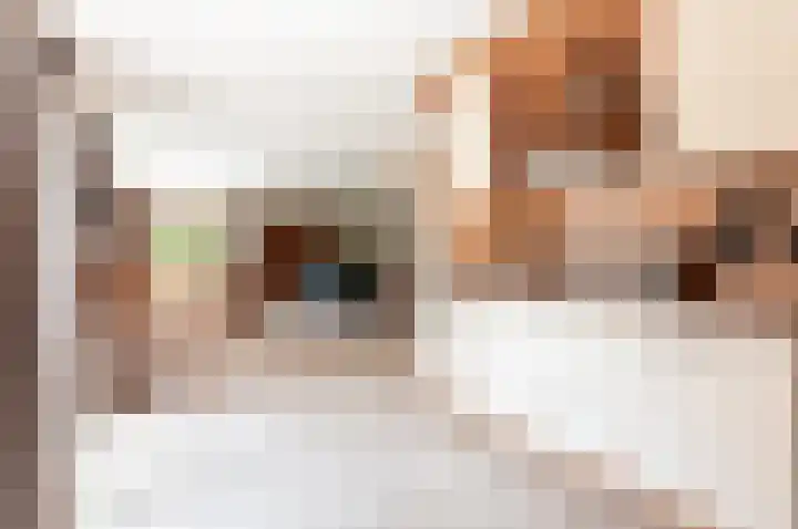 Hondsdraf 176 Swifterbant thumbnail 15