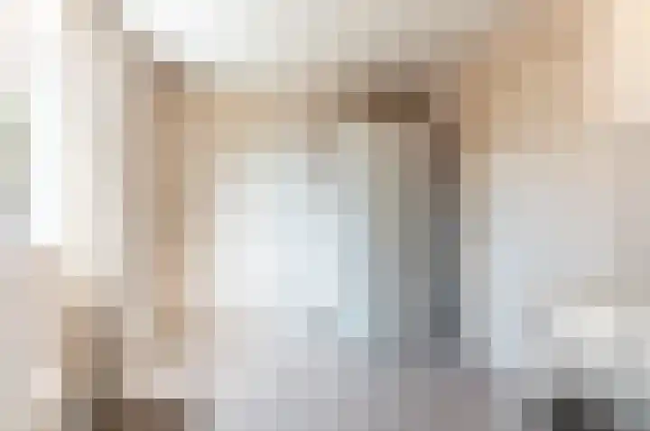 Hondsdraf 176 Swifterbant thumbnail 20
