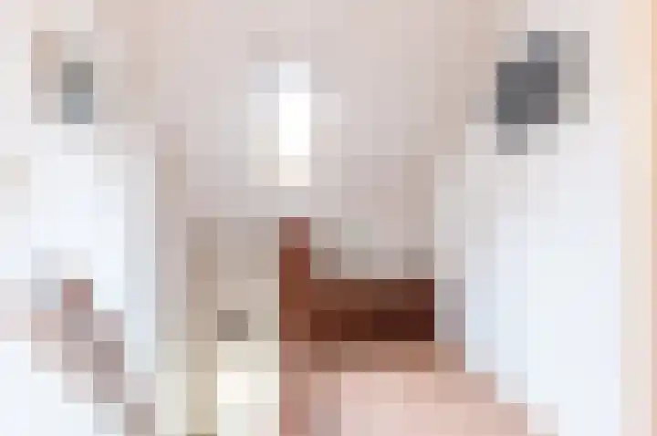 Hondsdraf 176 Swifterbant thumbnail 29