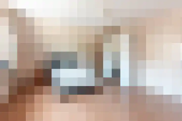 Hondsdraf 176 Swifterbant thumbnail 32
