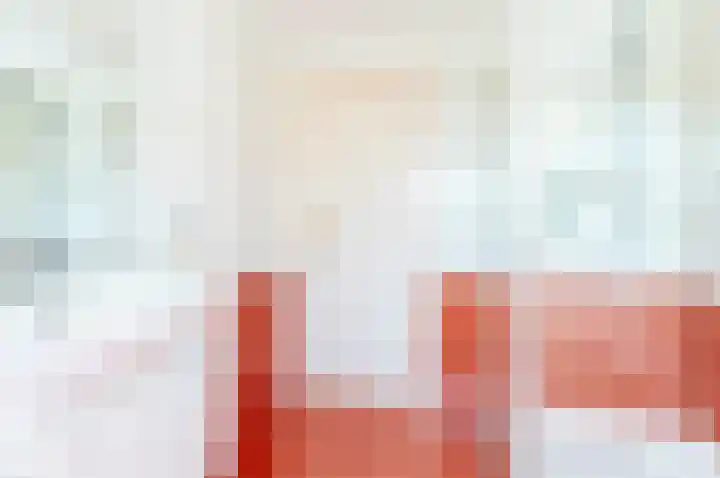 Hondsdraf 176 Swifterbant thumbnail 37
