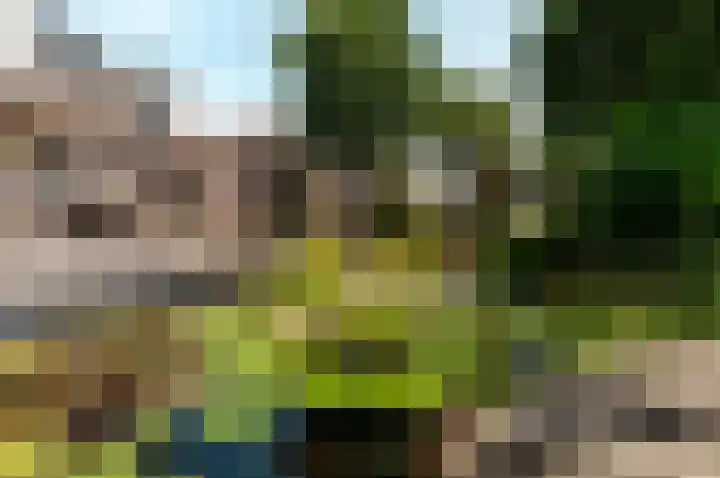 Hondsdraf 176 Swifterbant thumbnail 41