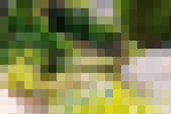 Hondsdraf 176 Swifterbant thumbnail 42