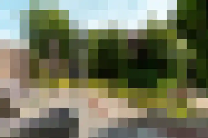 Hondsdraf 176 Swifterbant thumbnail 43