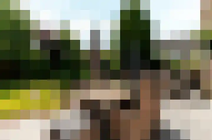 Hondsdraf 176 Swifterbant thumbnail 44