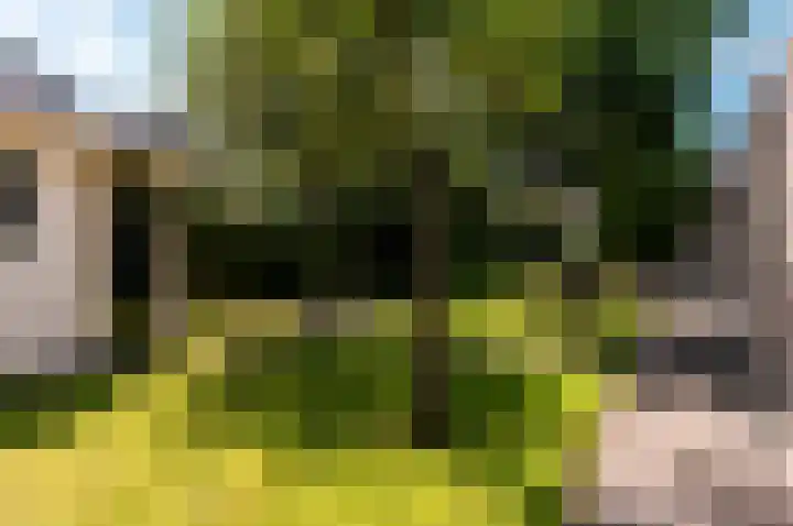 Hondsdraf 176 Swifterbant thumbnail 46