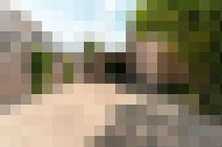 Hondsdraf 176 Swifterbant thumbnail 47
