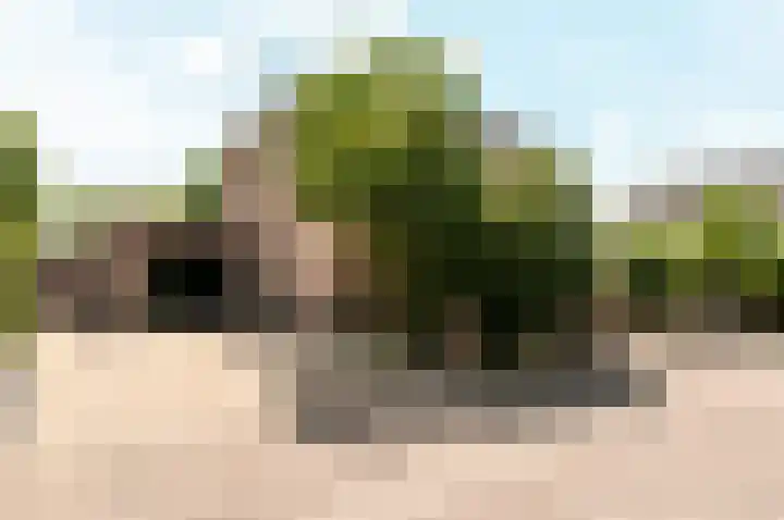Hondsdraf 176 Swifterbant thumbnail 48