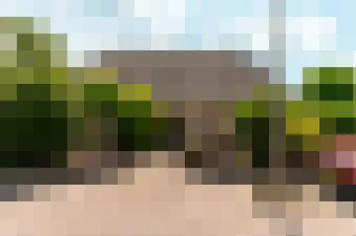 Hondsdraf 176 Swifterbant thumbnail 49