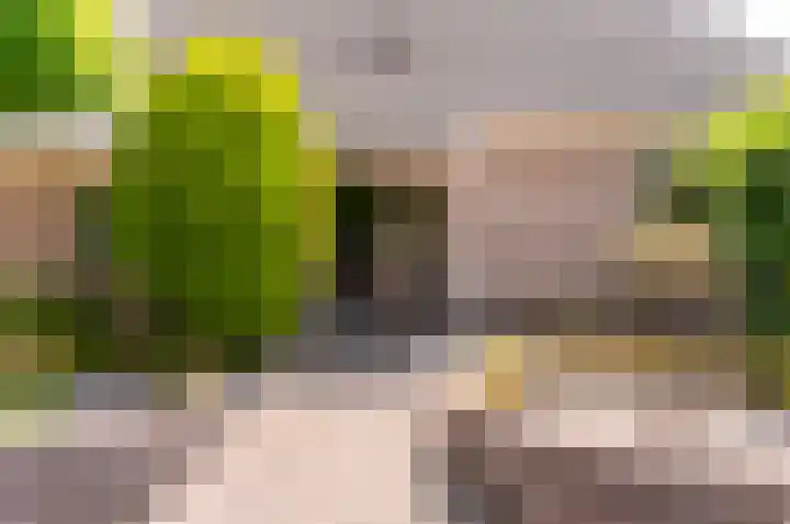 Hondsdraf 176 Swifterbant thumbnail 50
