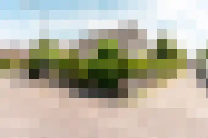 Hondsdraf 176 Swifterbant thumbnail 51