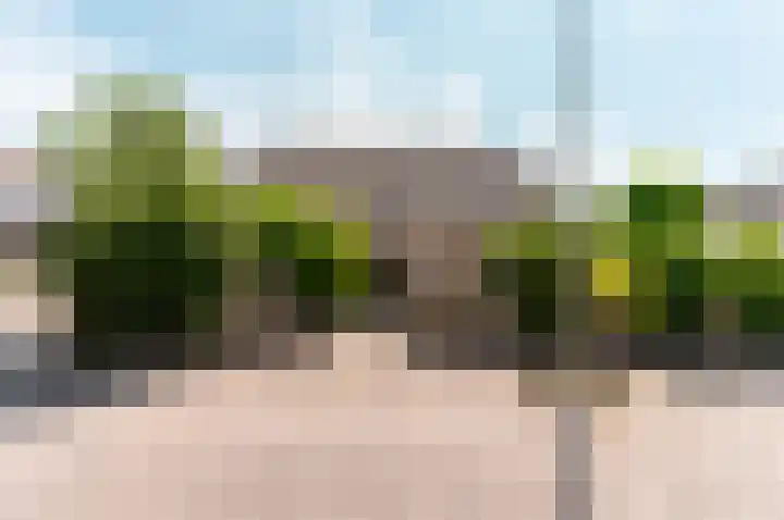 Hondsdraf 176 Swifterbant thumbnail 52